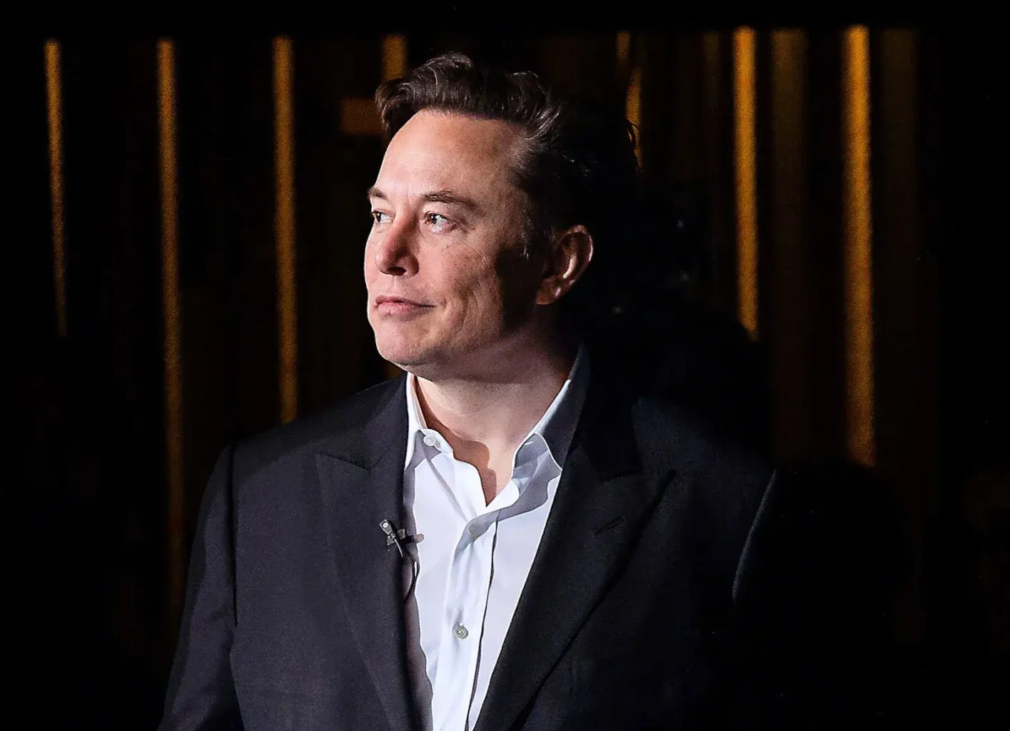 Elon Musk portrait